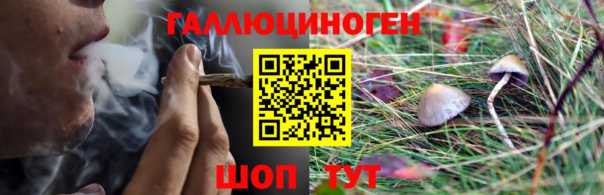 Псилоцибиновые грибы Magic Shrooms  Галлюциногенные грибы Psilocybe  Вход с VPN  Анапа 